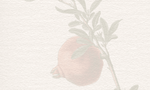 faded image of a pomegranate