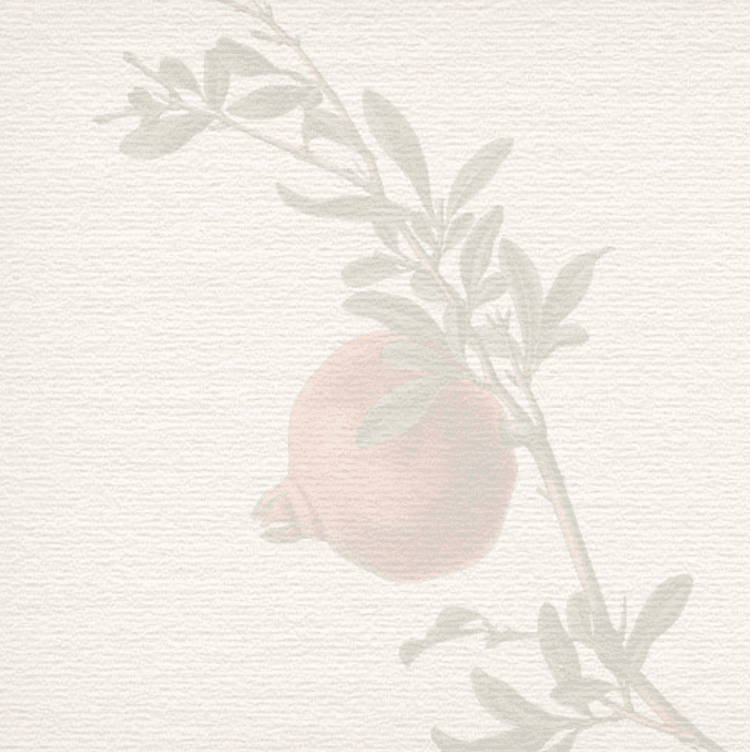 faded image of a pomegranate
